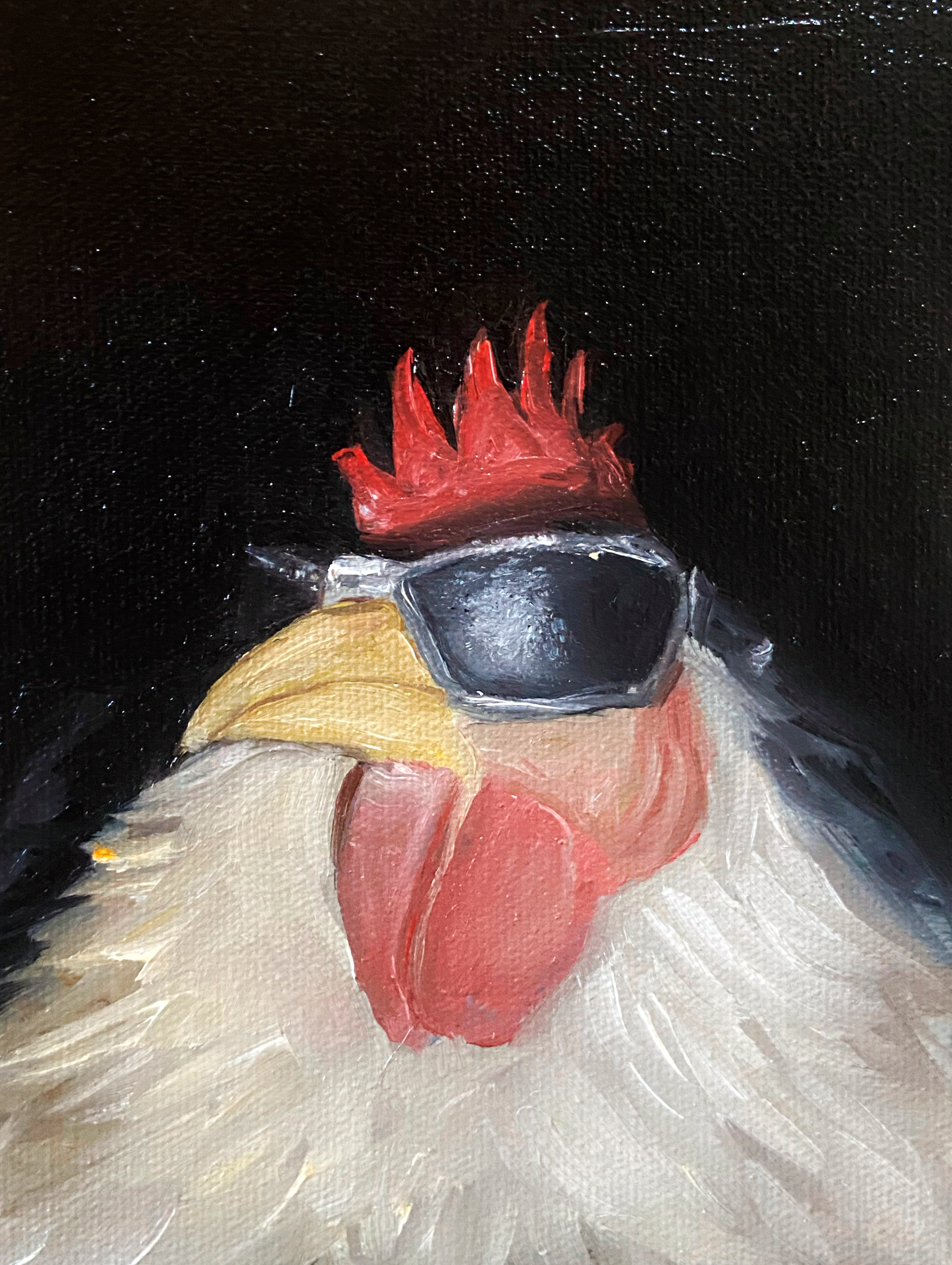 Galo de Juliet